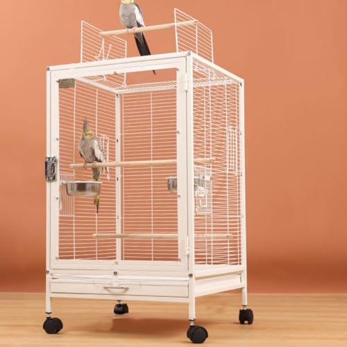 オウム 鳥かご 大型」の人気商品一覧 | 安い商品を通販サイトから探す